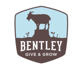 Bentley Seeds