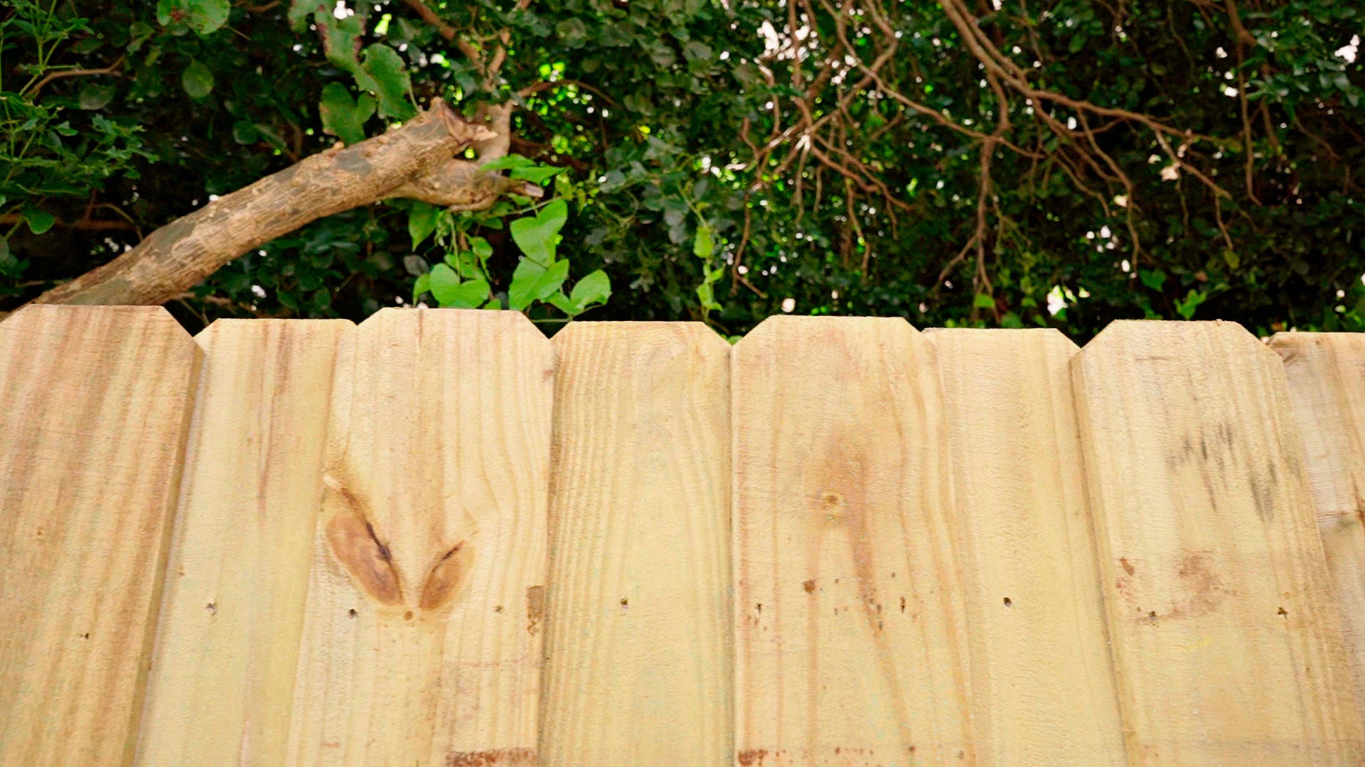 Protect your outdoor wood