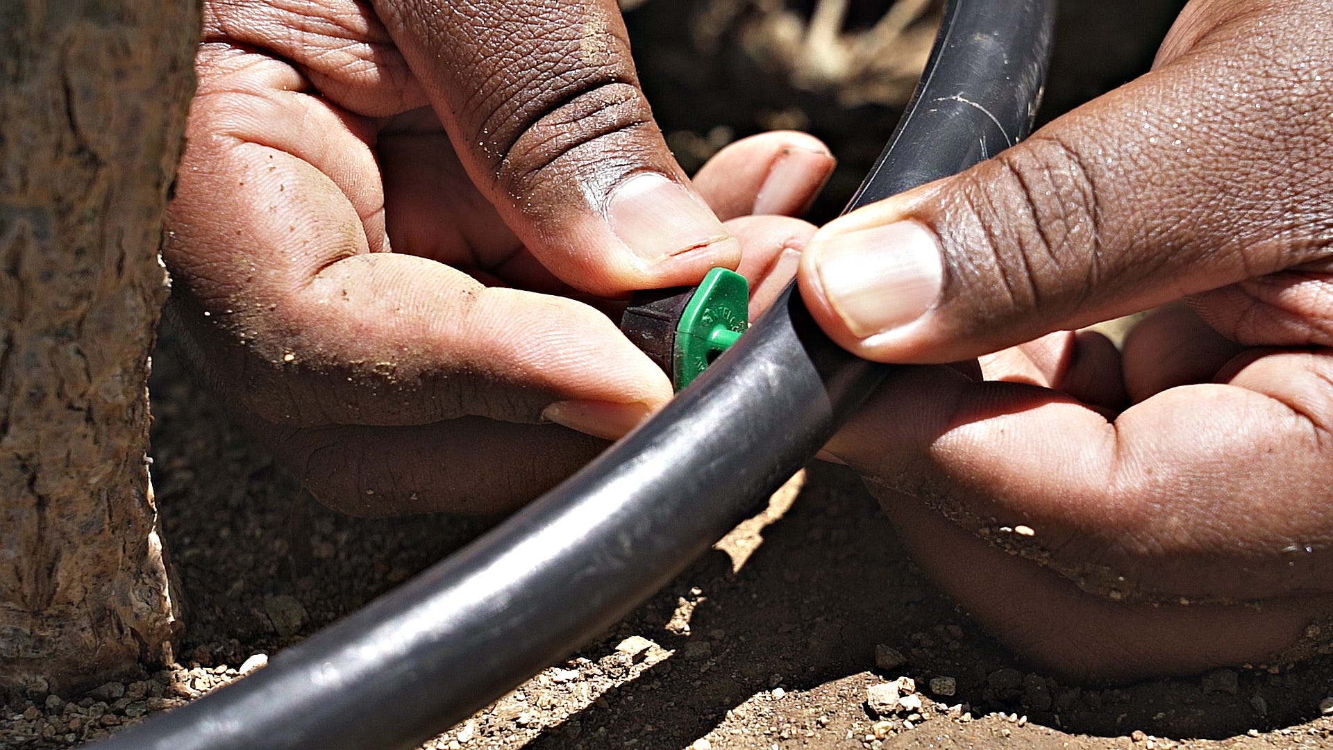 How to install a drip irrigation system