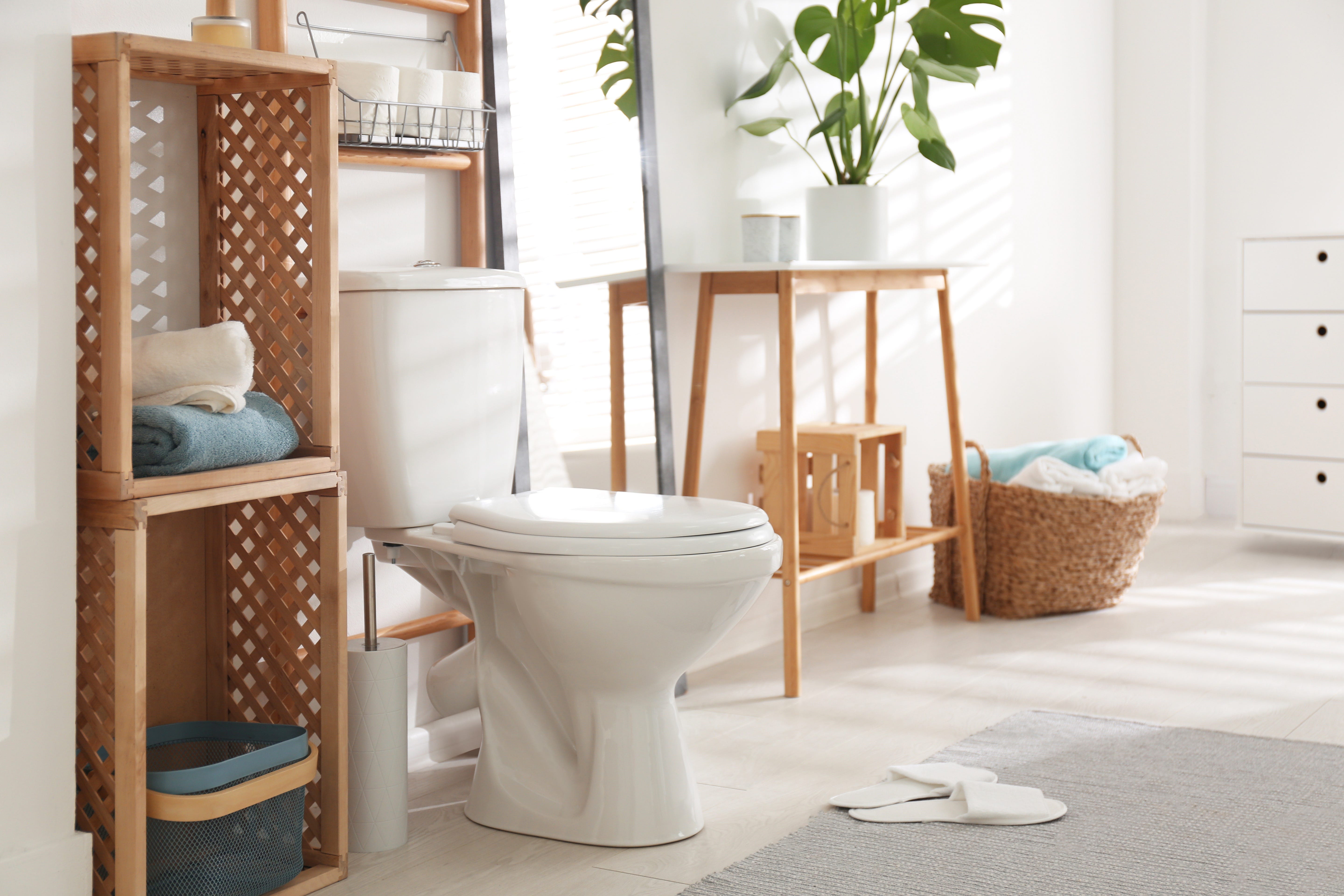 Upgrade your toilet