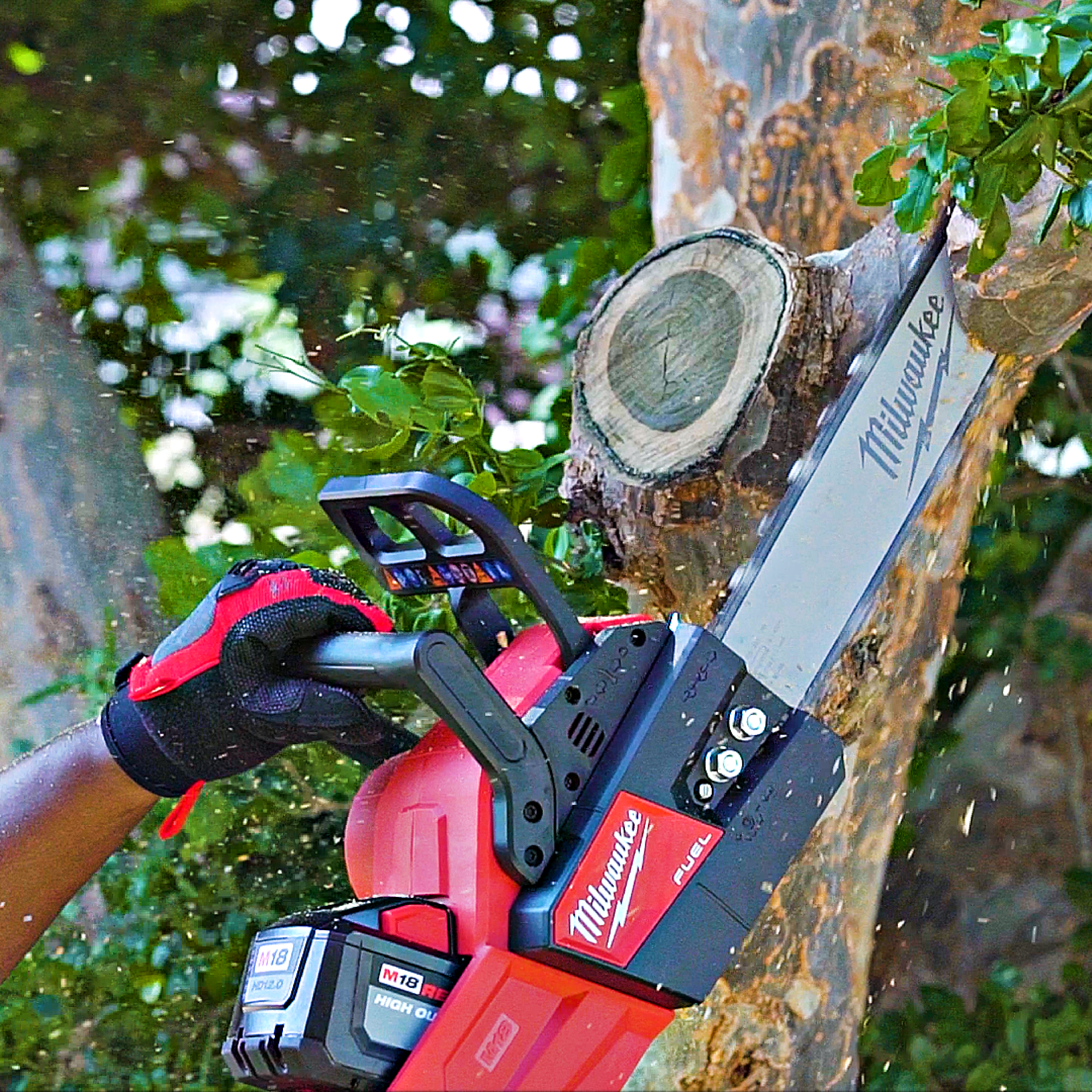 Product Advice: Power Tools for Your Garden